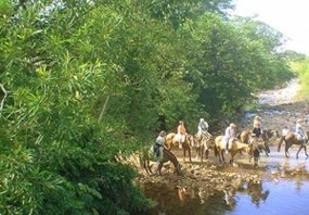 Trilhas &agrave; cavalo.